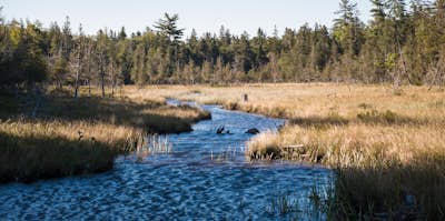 Hike the Jordan Pond Loop at Acadia National Park