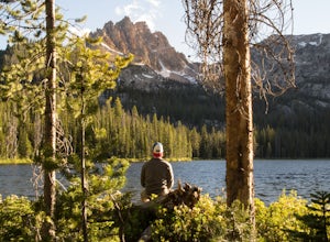 Exploring the Outdoors for the Career-Driven Person