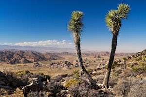 Hike Ryan Mountain