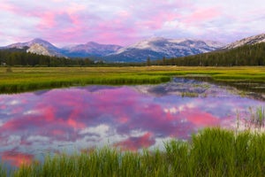 Enjoy a Sunset at Tuolumne Meadows