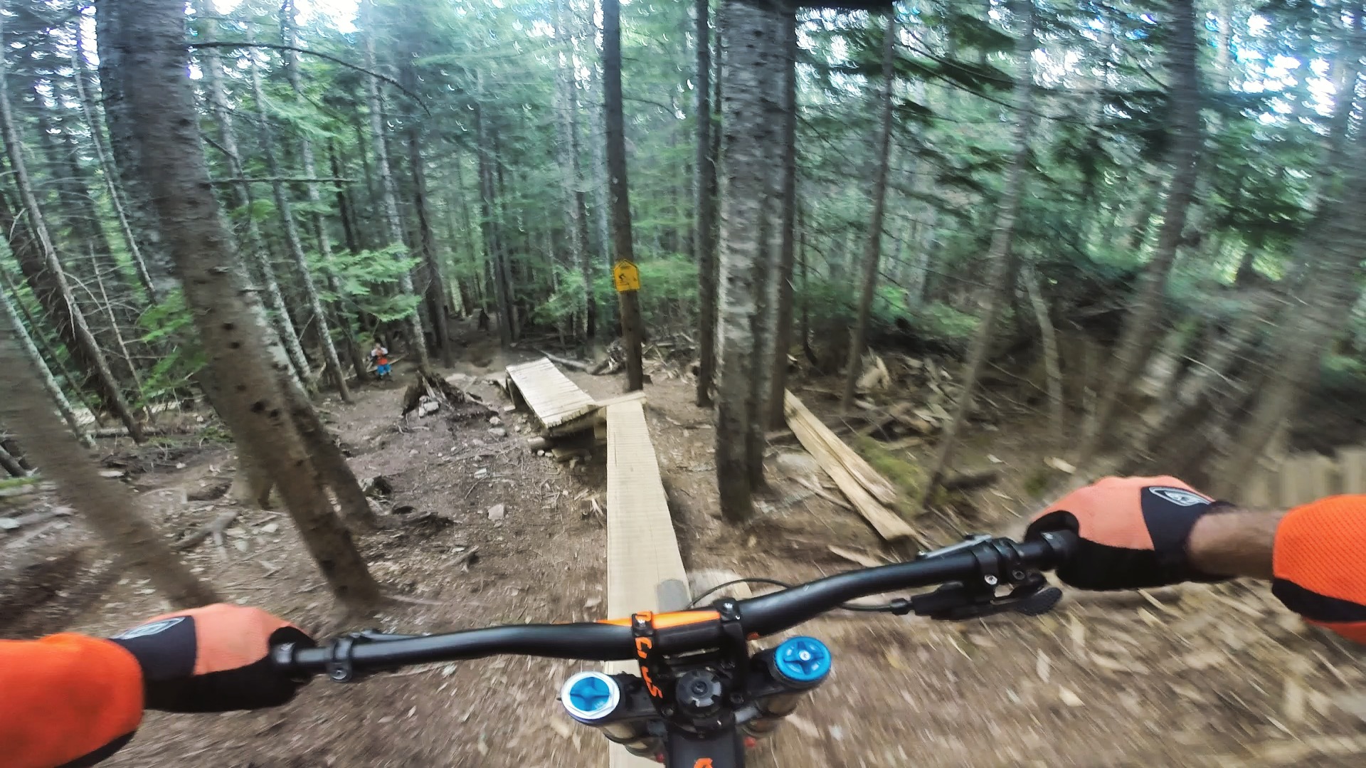 Ride the Whistler Mountain Bike Park