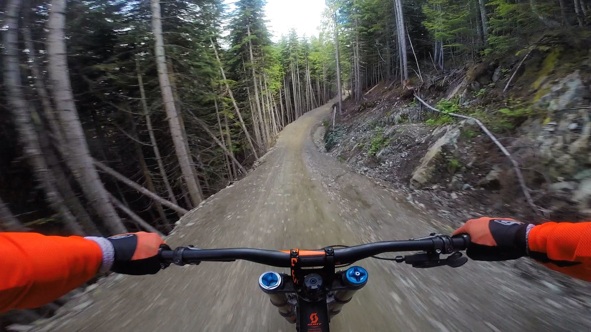 Ride the Whistler Mountain Bike Park