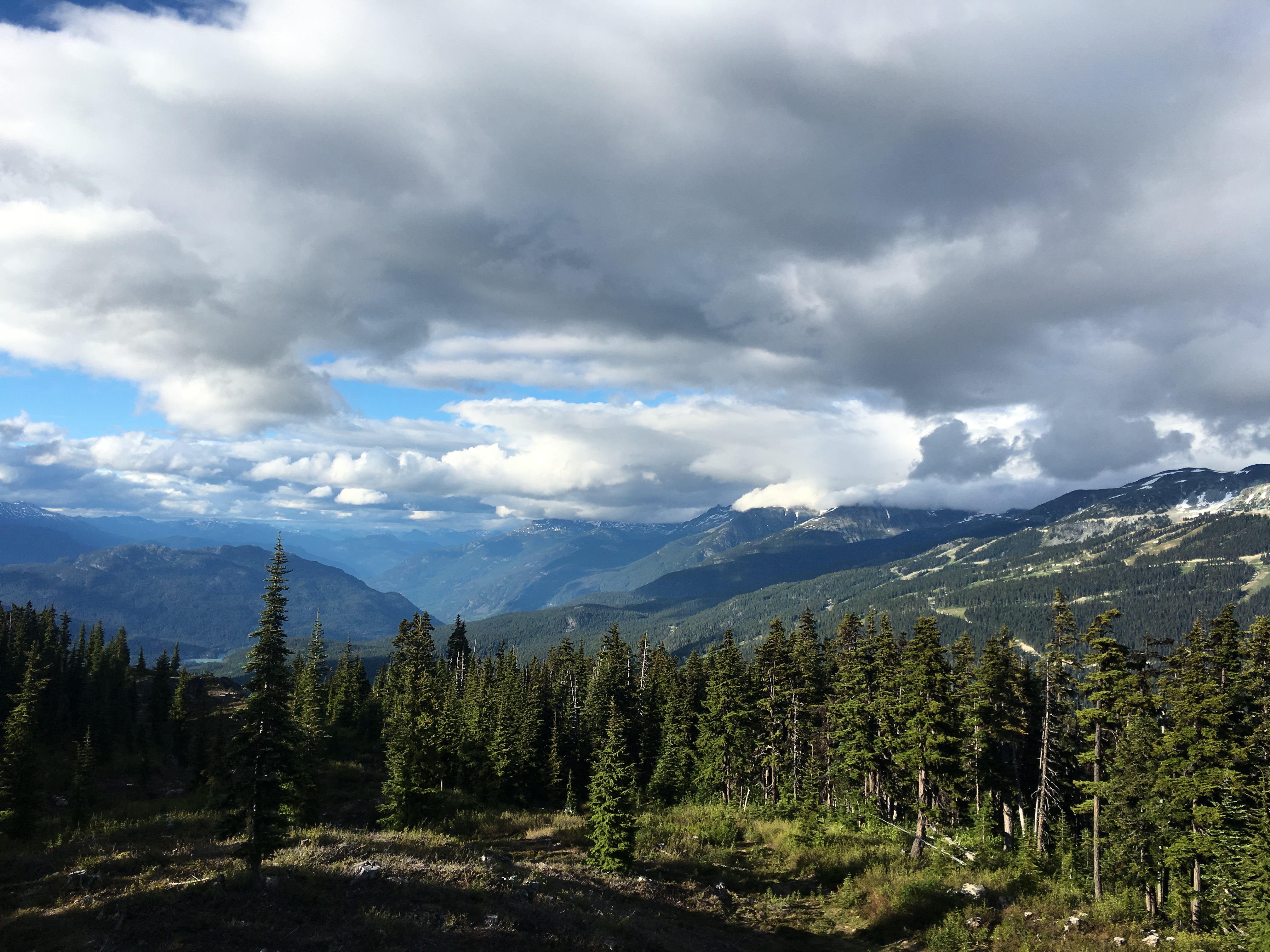 Ride the Whistler Mountain Bike Park