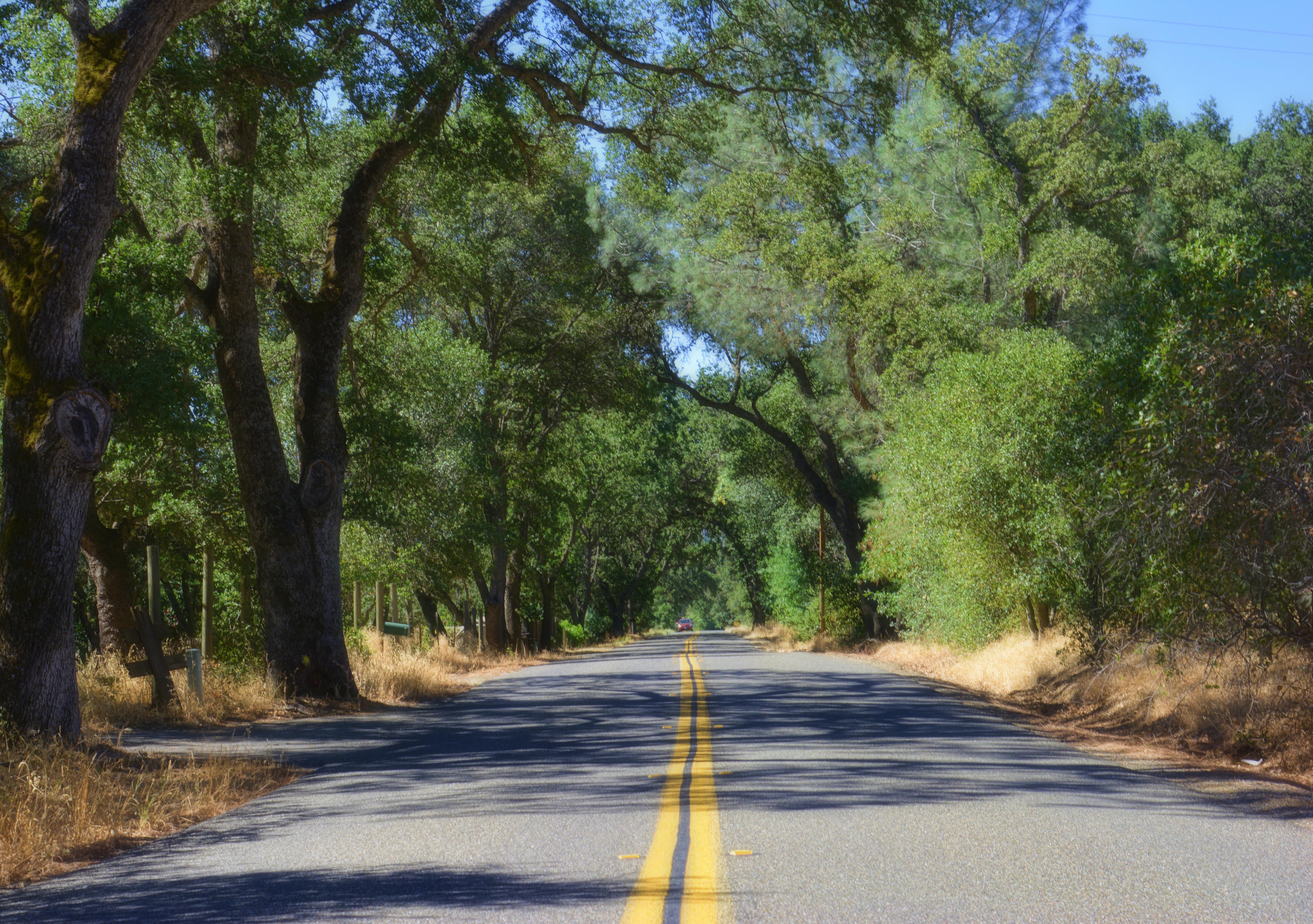 Bike the Lake Berryessa Loop