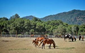 Bike the Lake Berryessa Loop