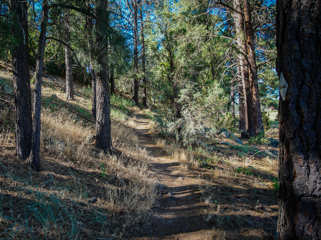 Hike the Show Low Bluff Trail