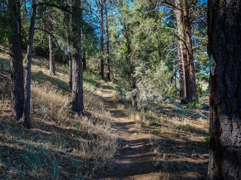 Photo of Hike the Show Low Bluff Trail