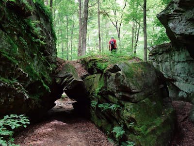 Hike the Big Rock Hollow Trail