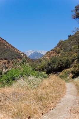 Cattle Canyon Trail