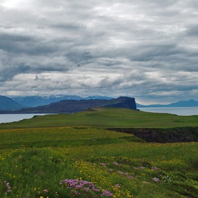 Explore a remote island in North Iceland