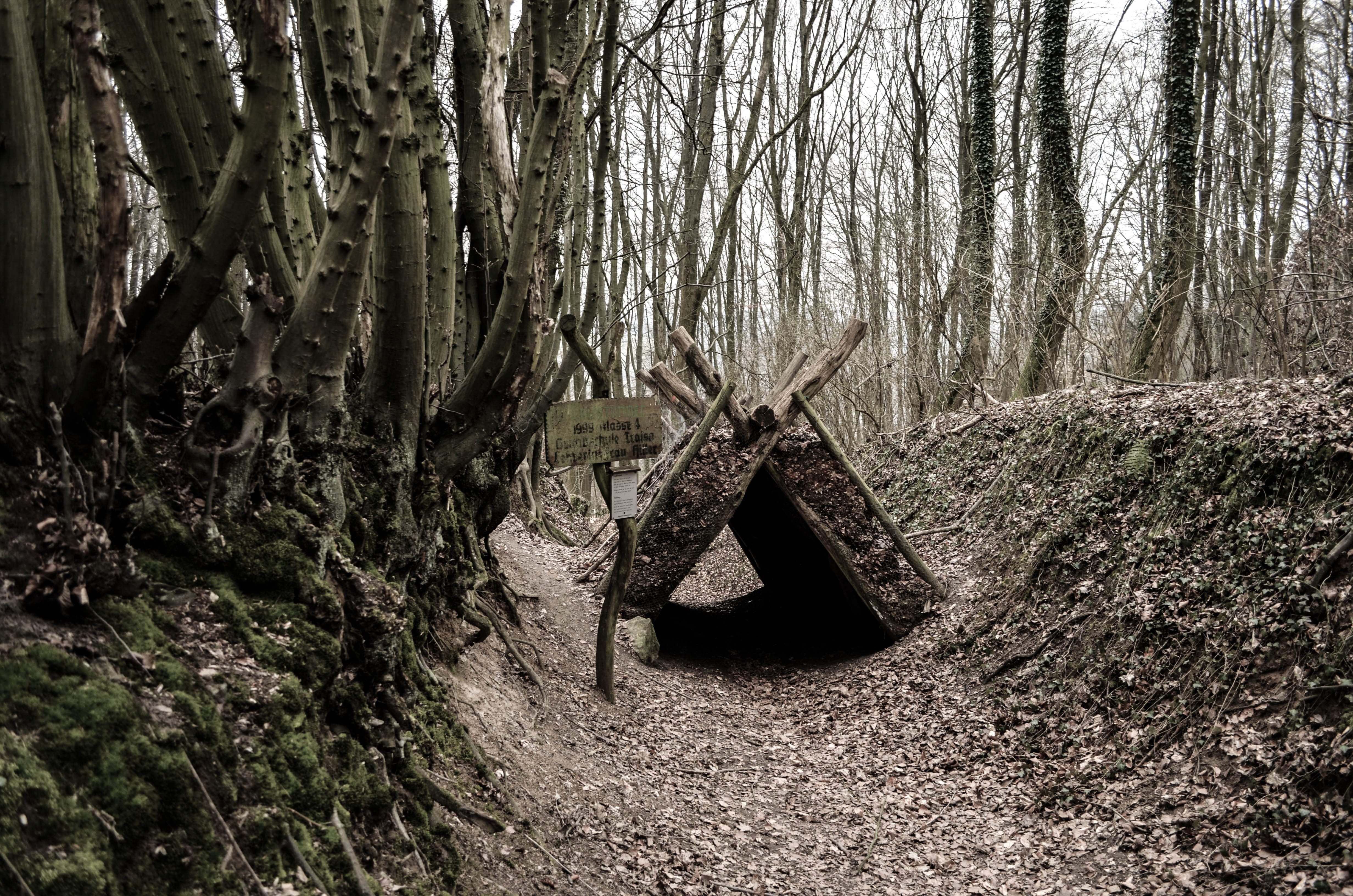 Hike to Frankenstein's Castle