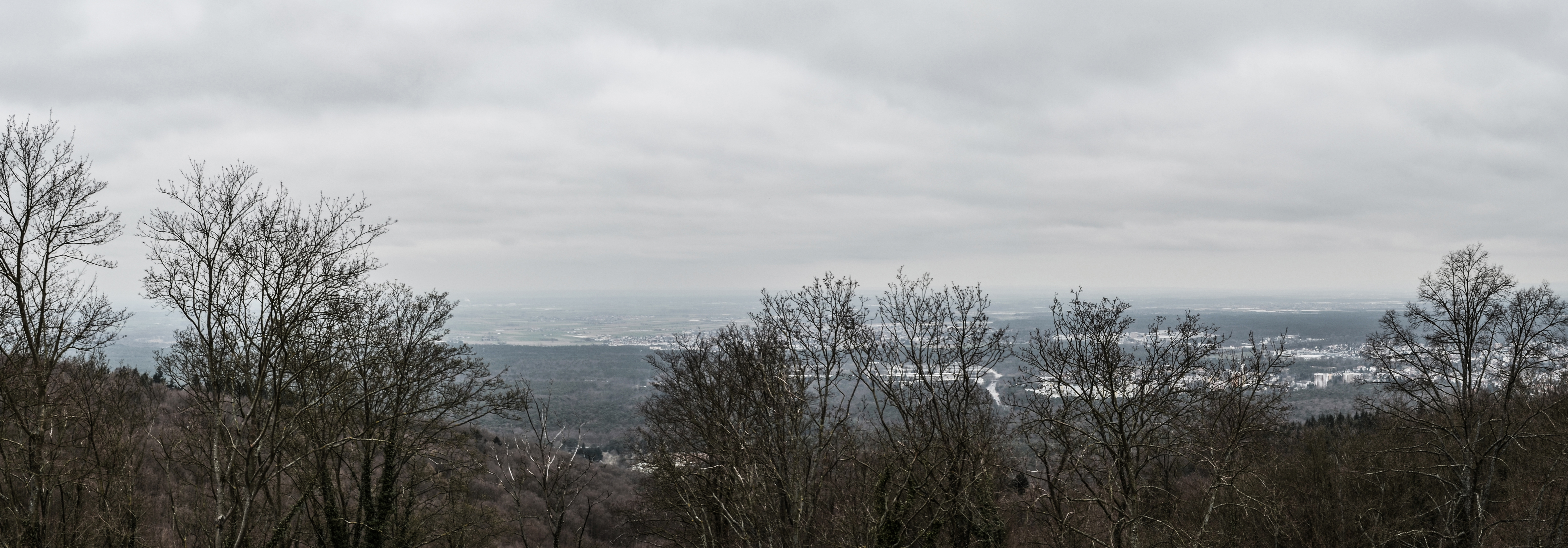 Hike to Frankenstein's Castle