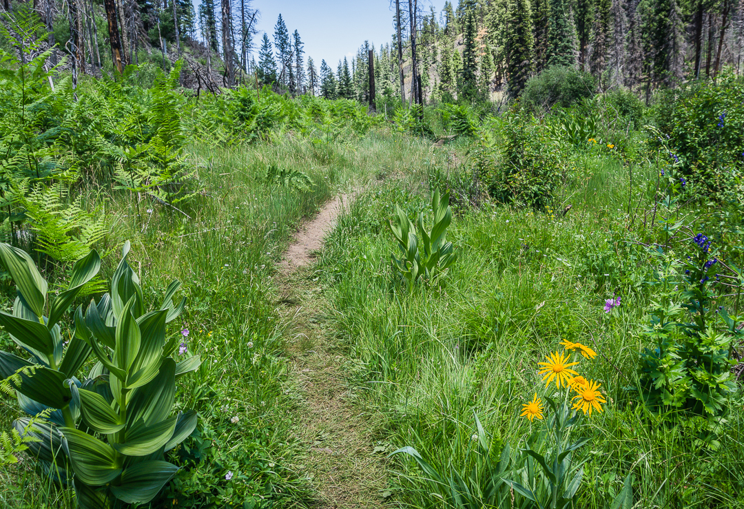 Hike the Government Springs Trail