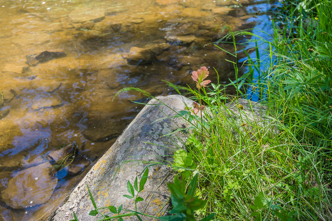 Hike the Government Springs Trail