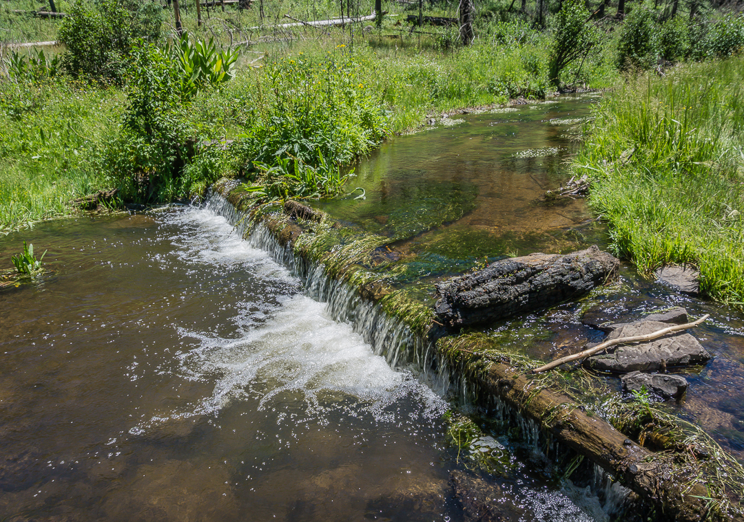 Hike the Government Springs Trail