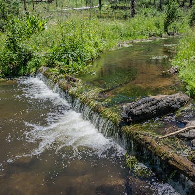 Hike the Government Springs Trail