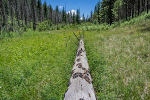 Hike the Government Springs Trail