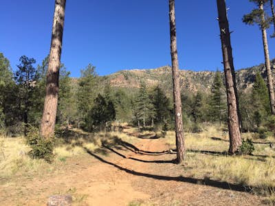 Hike the Colonel Devin Trail 