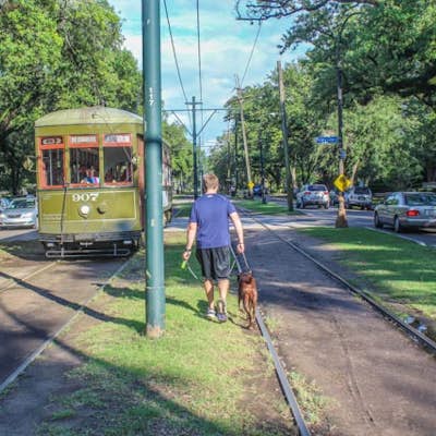 Run the Street Car Line in Uptown New Orleans