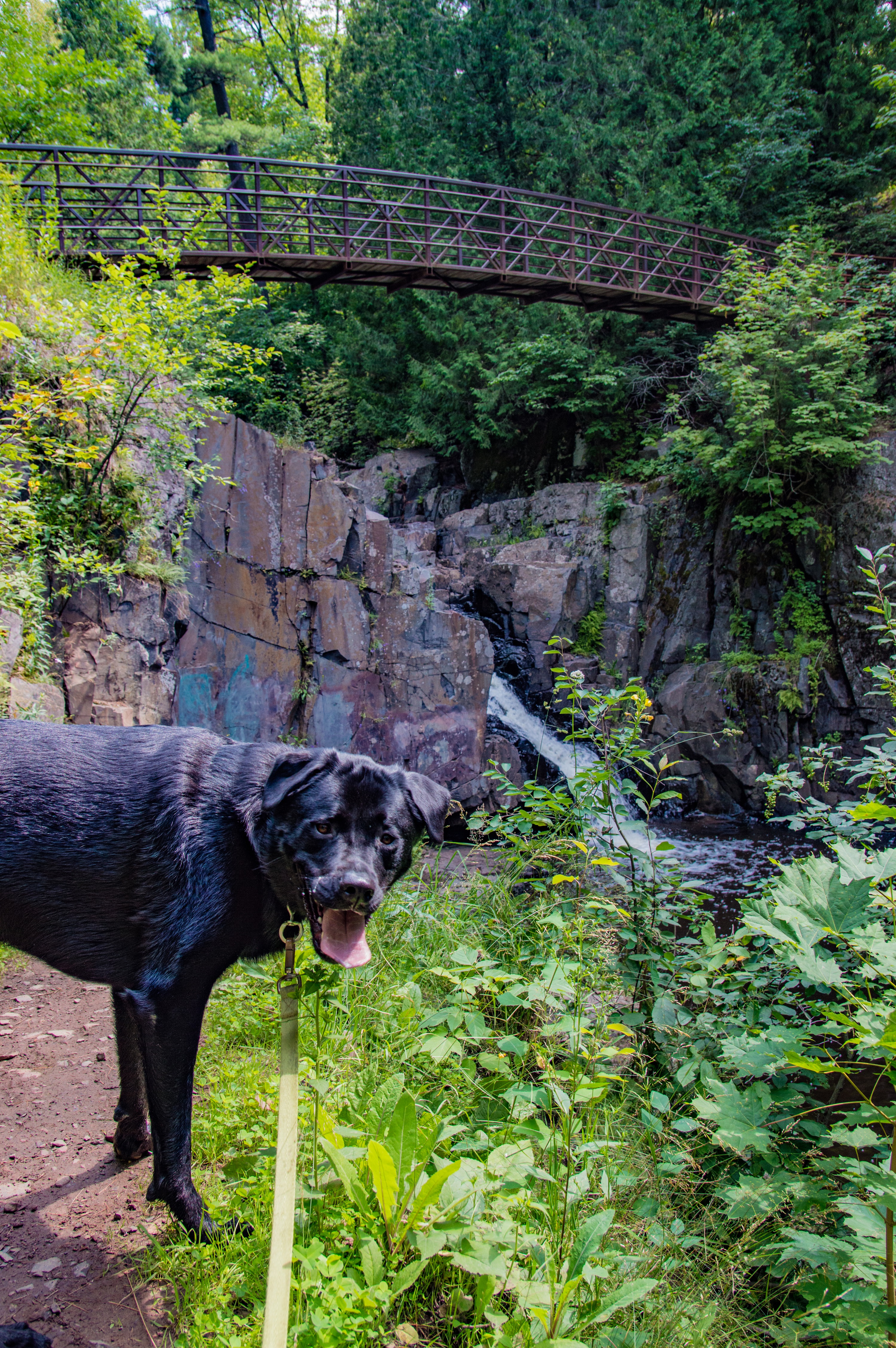 Chester Creek Trail
