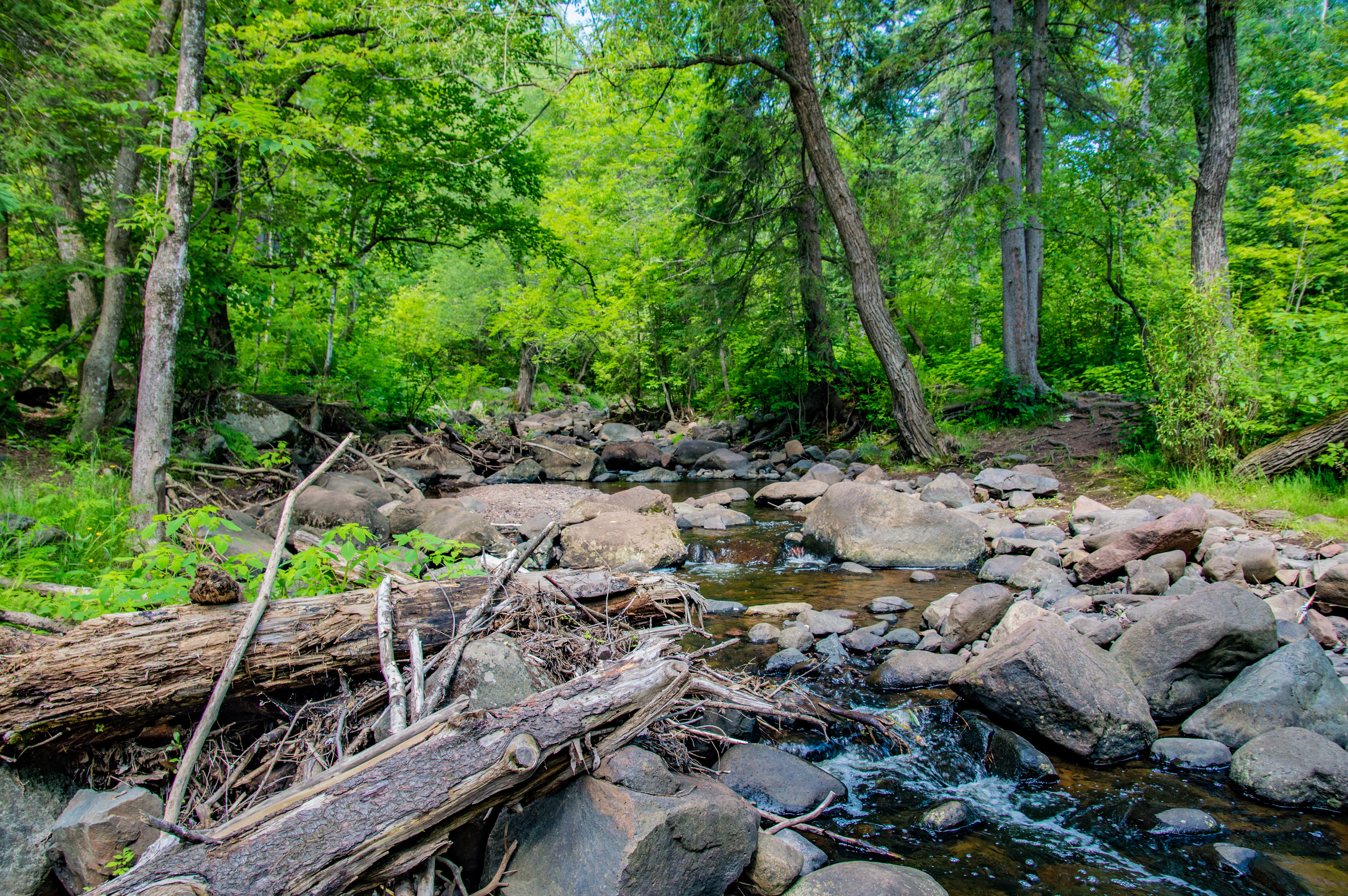 Chester Creek Trail