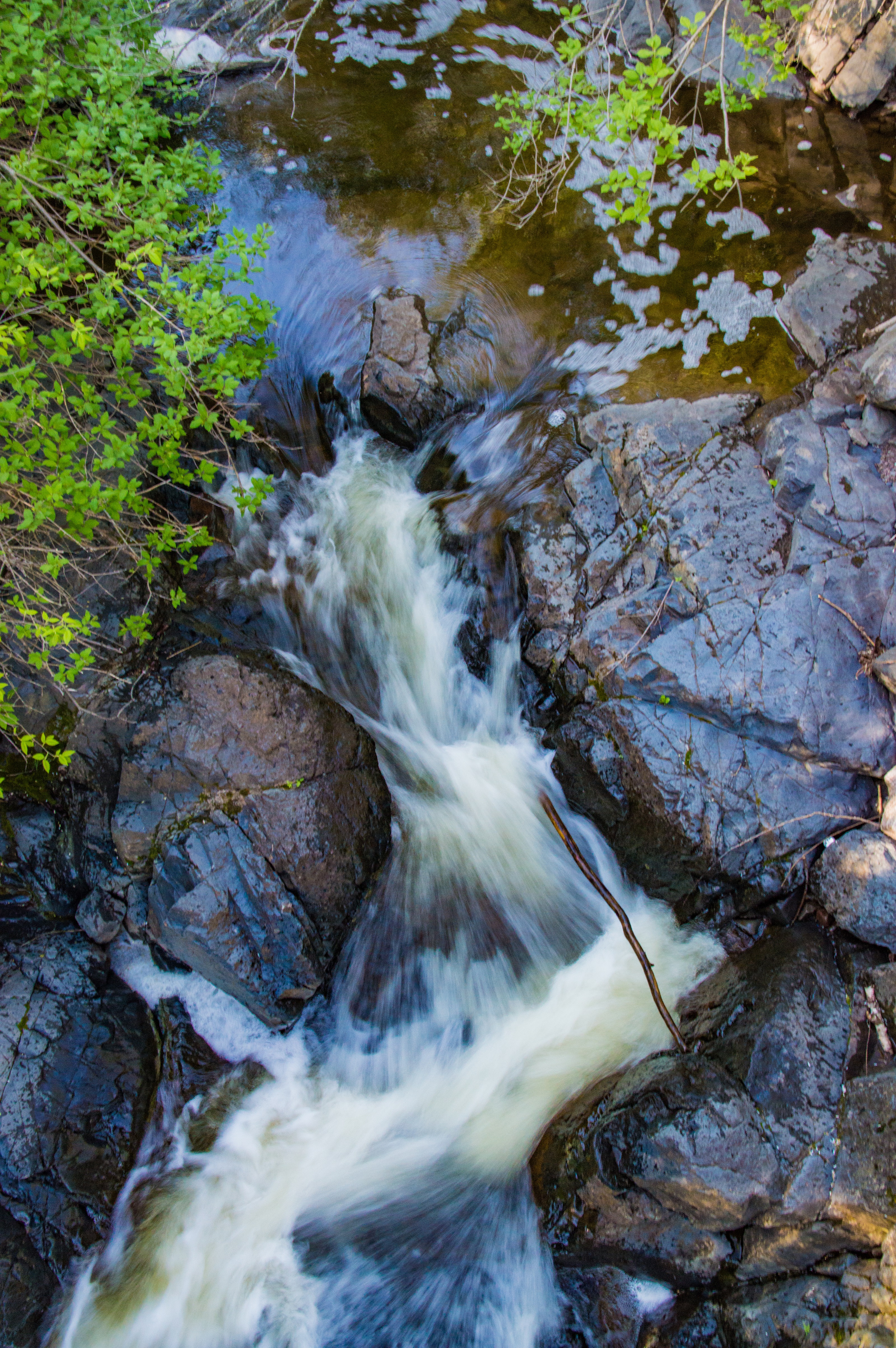 Chester Creek Trail