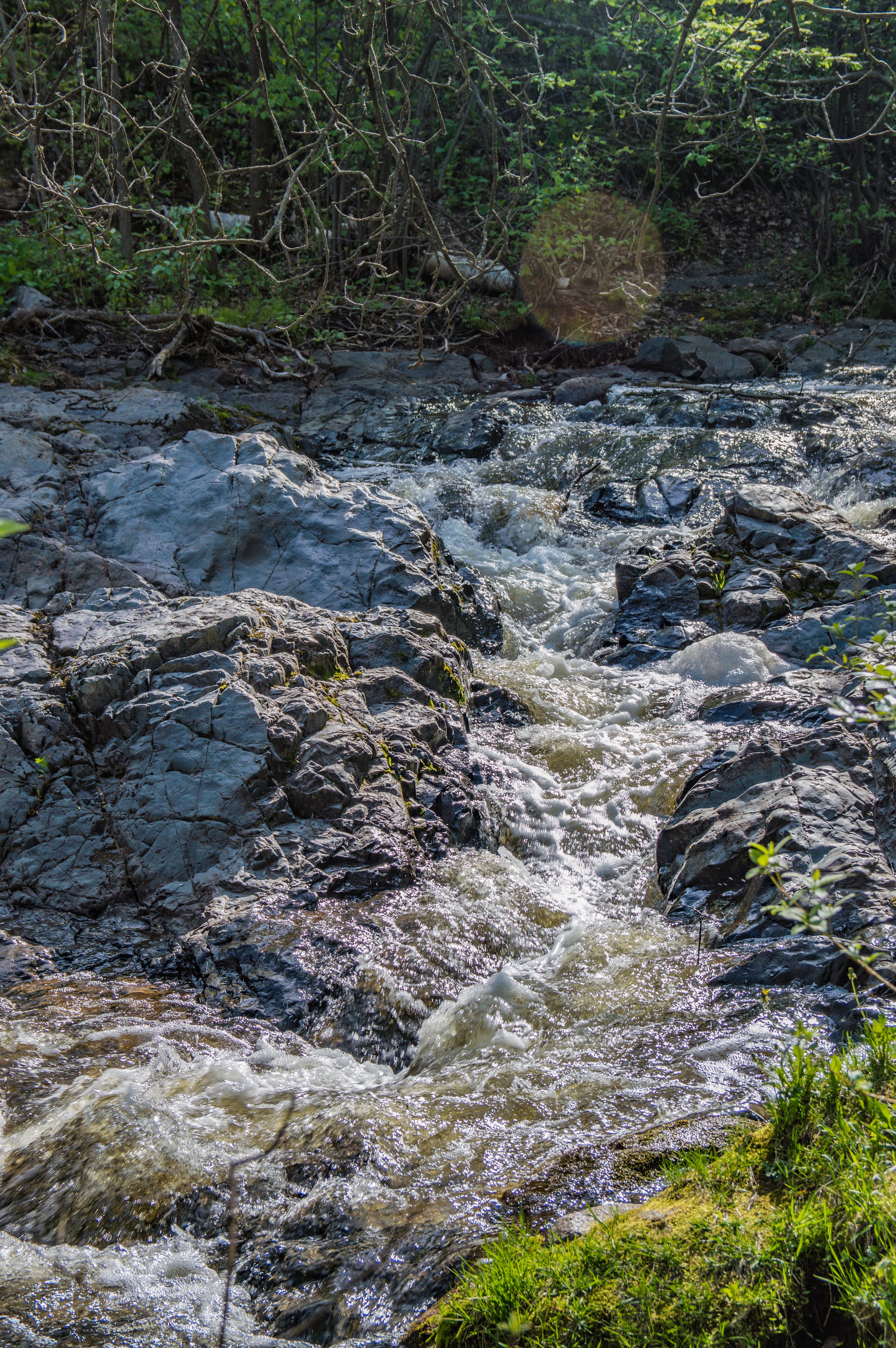 Chester Creek Trail