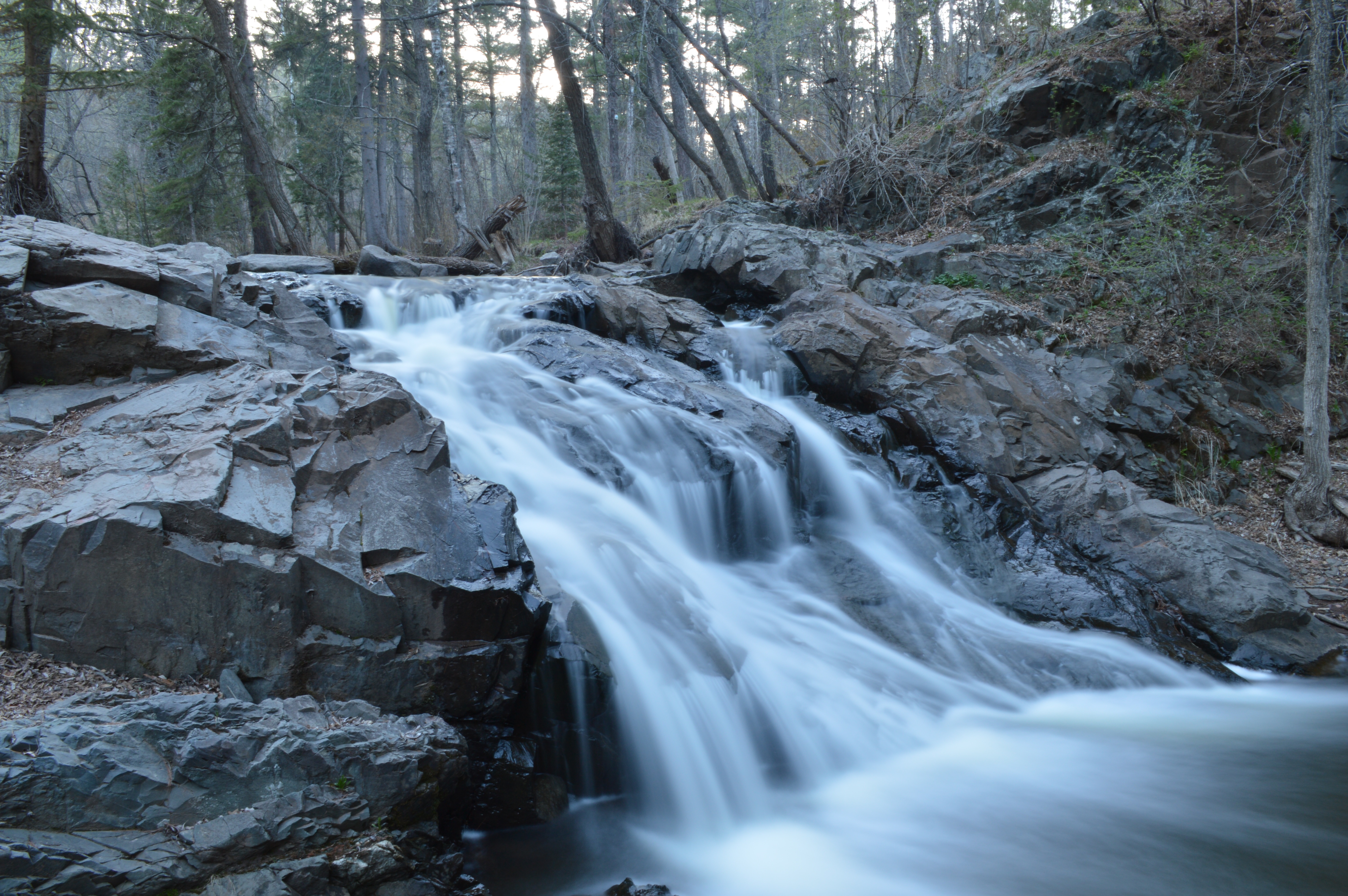 Chester Creek Trail