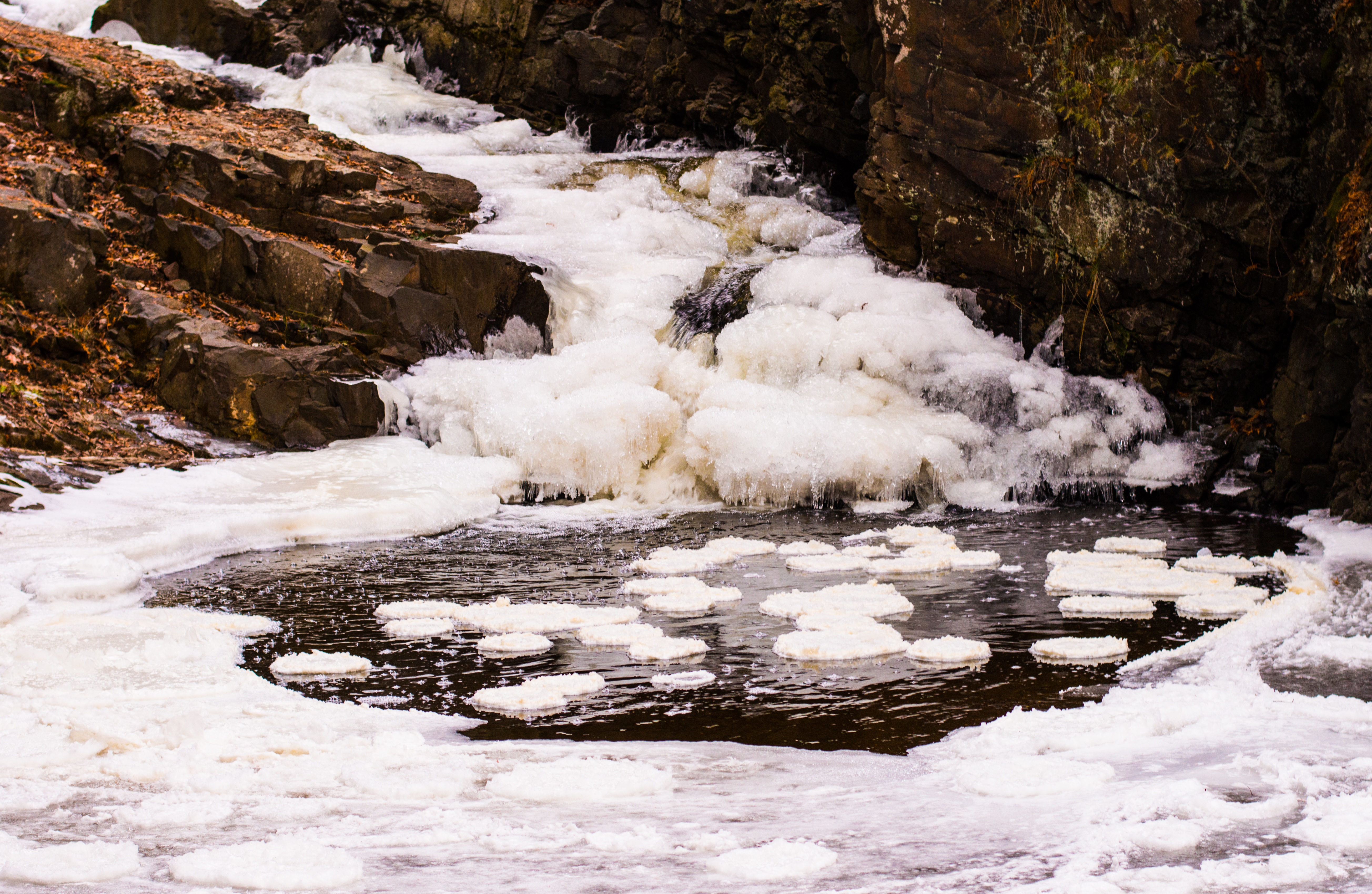 Chester Creek Trail