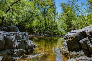 Chester Creek Trail