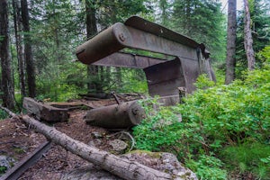 Hike "A Walk in the Past Trail," Yoho NP