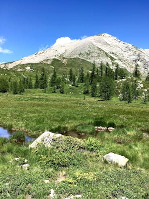 Hike to Gattascosa hut and Camoscellahorn