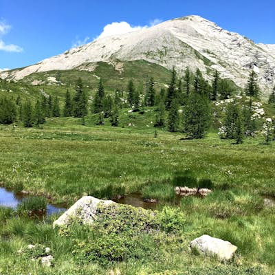 Hike to Gattascosa hut and Camoscellahorn