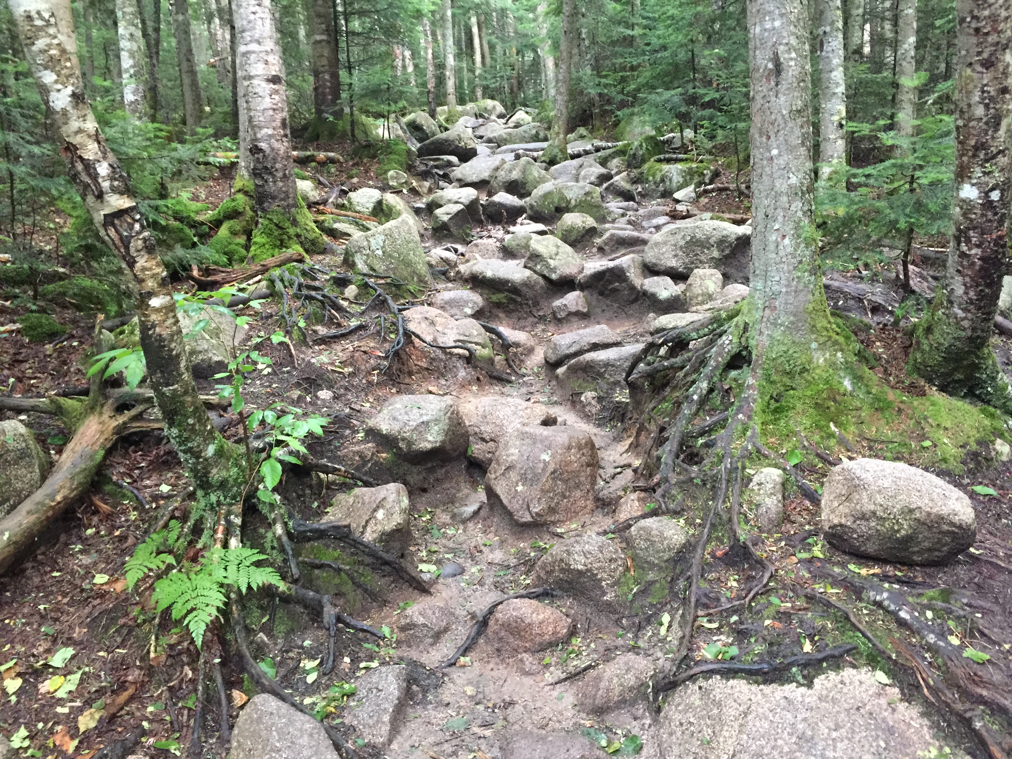 Hike Hut to Hut: AMC Huts Presidential Traverse Southbound