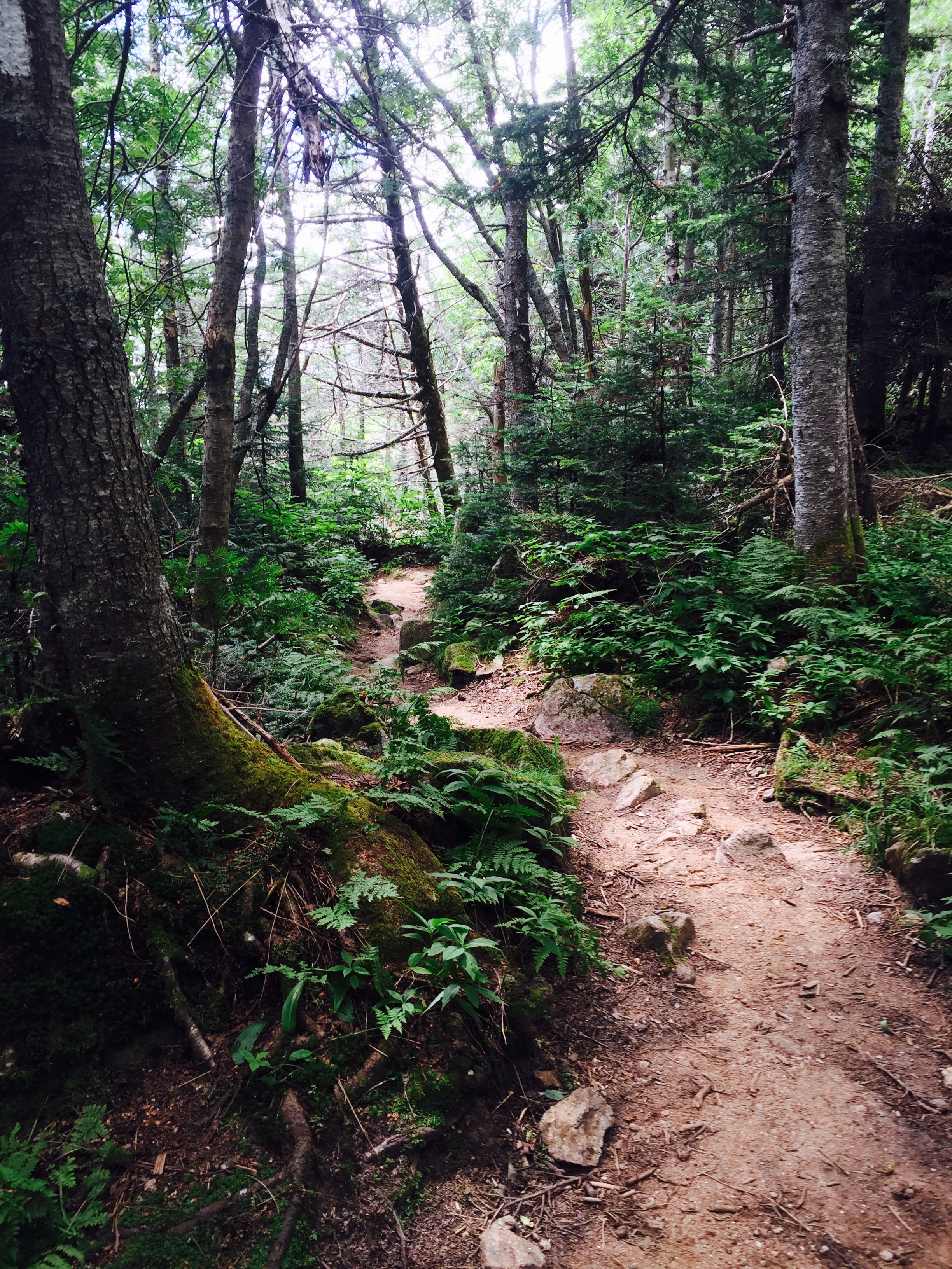 Hike Hut to Hut: AMC Huts Presidential Traverse Southbound