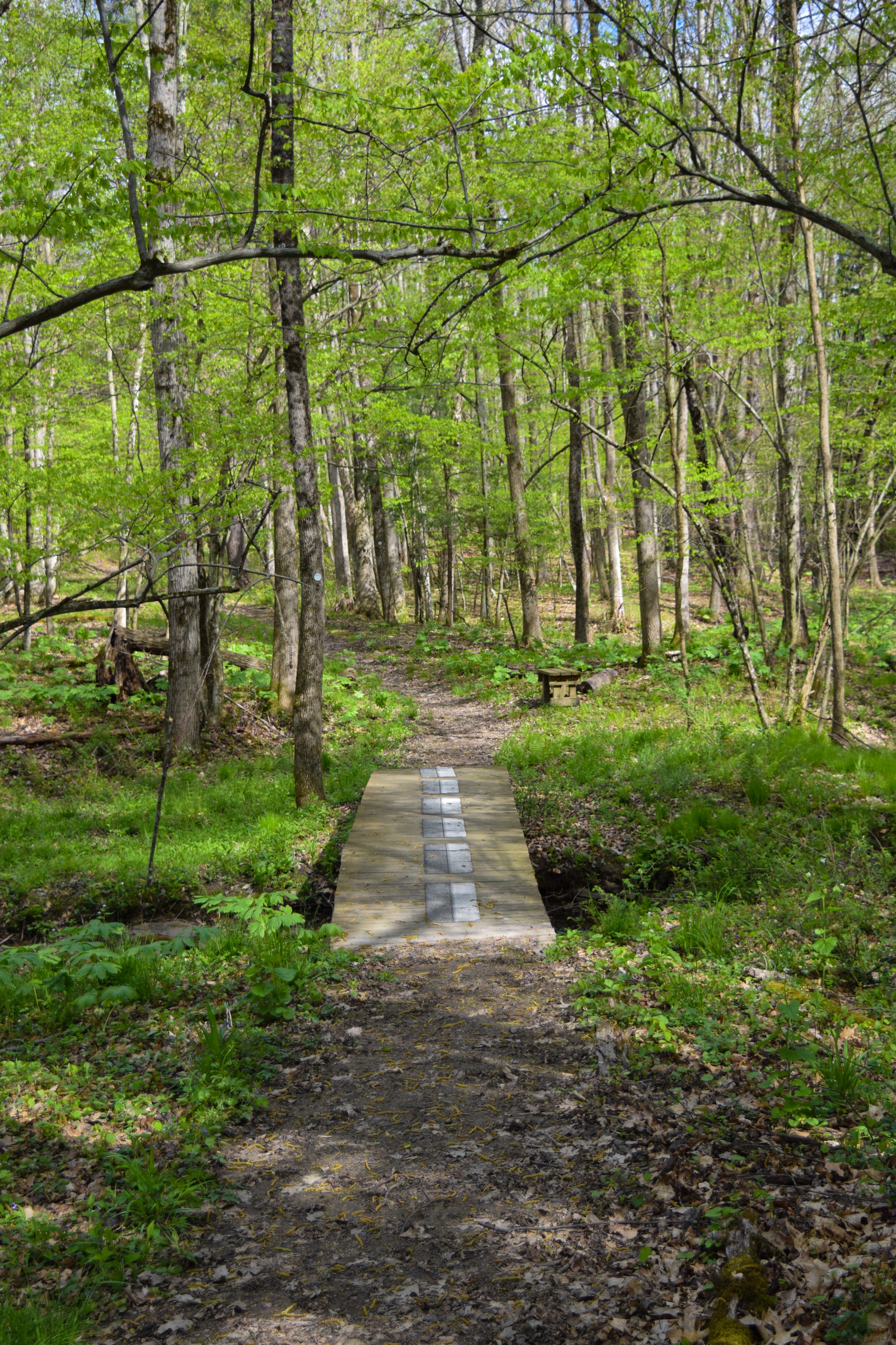 Hike the West Gorge Trail at Waterman Conservation Center