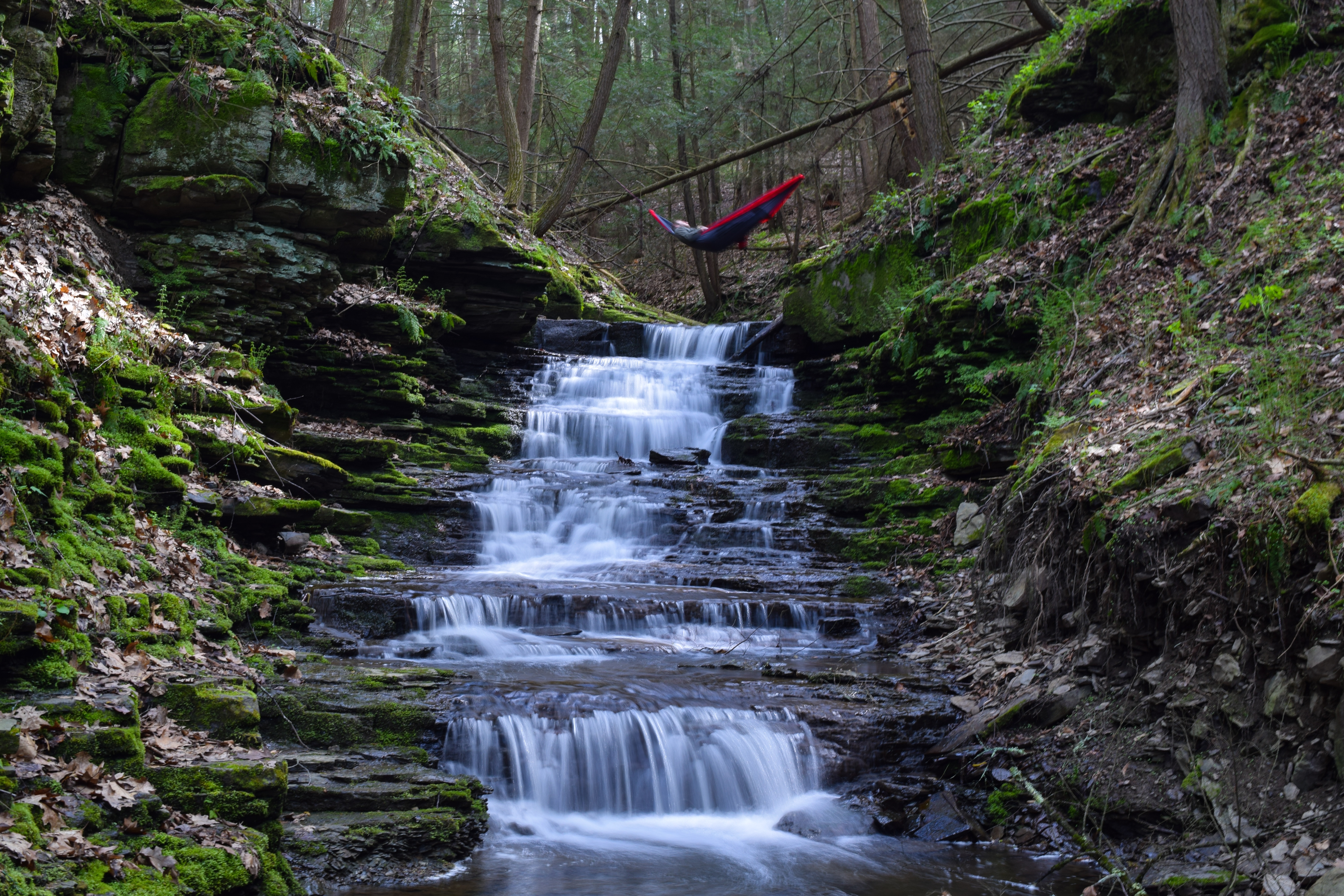Hike the West Gorge Trail at Waterman Conservation Center