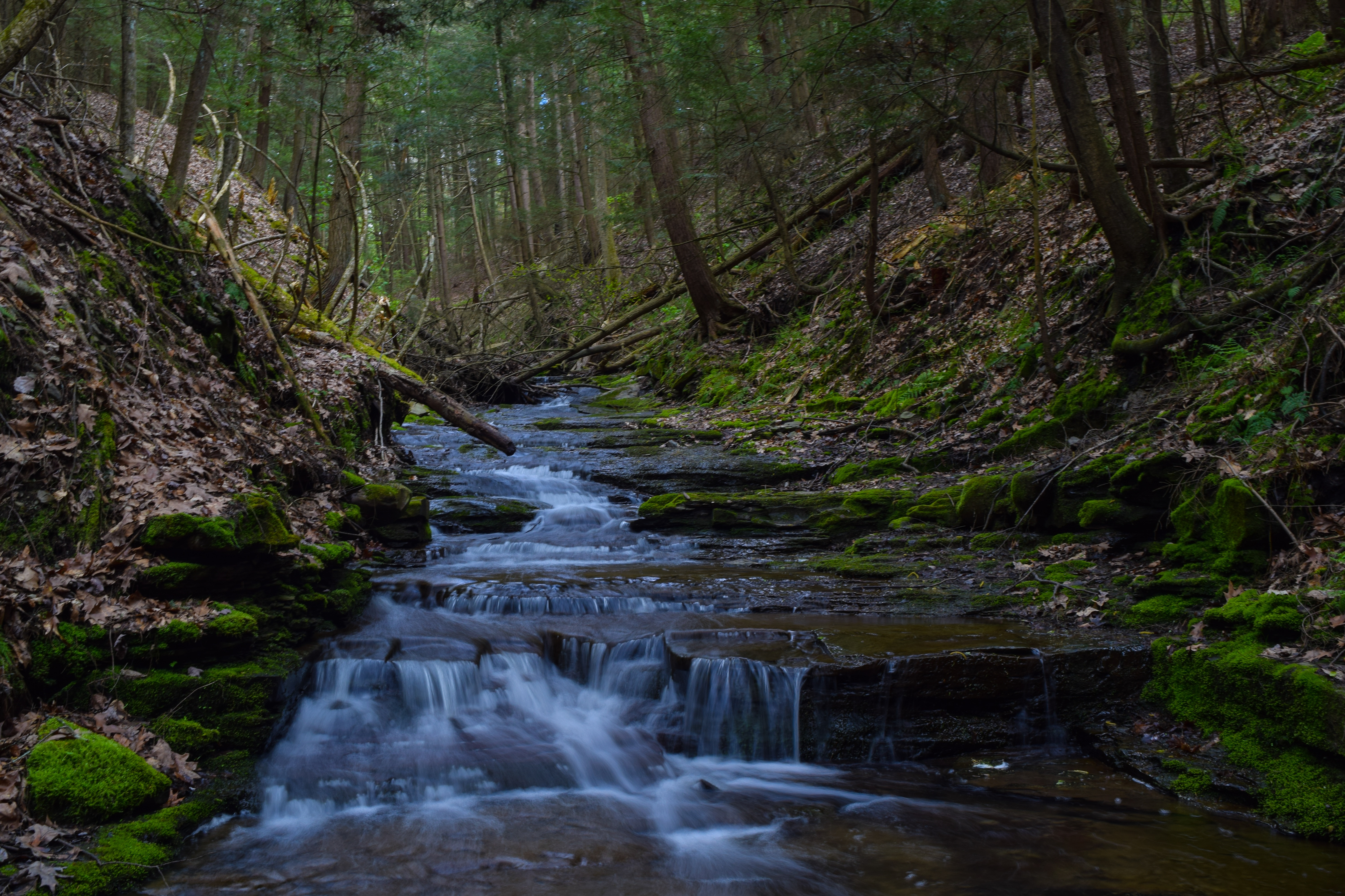 Hike the West Gorge Trail at Waterman Conservation Center