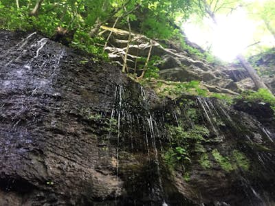 Hike the Blue Hole Trail at Rock Island State Park