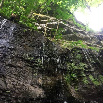 Hike the Blue Hole Trail at Rock Island State Park