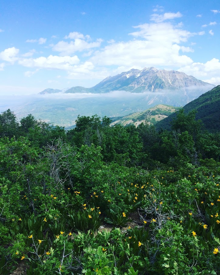 Hike Squaw Peak