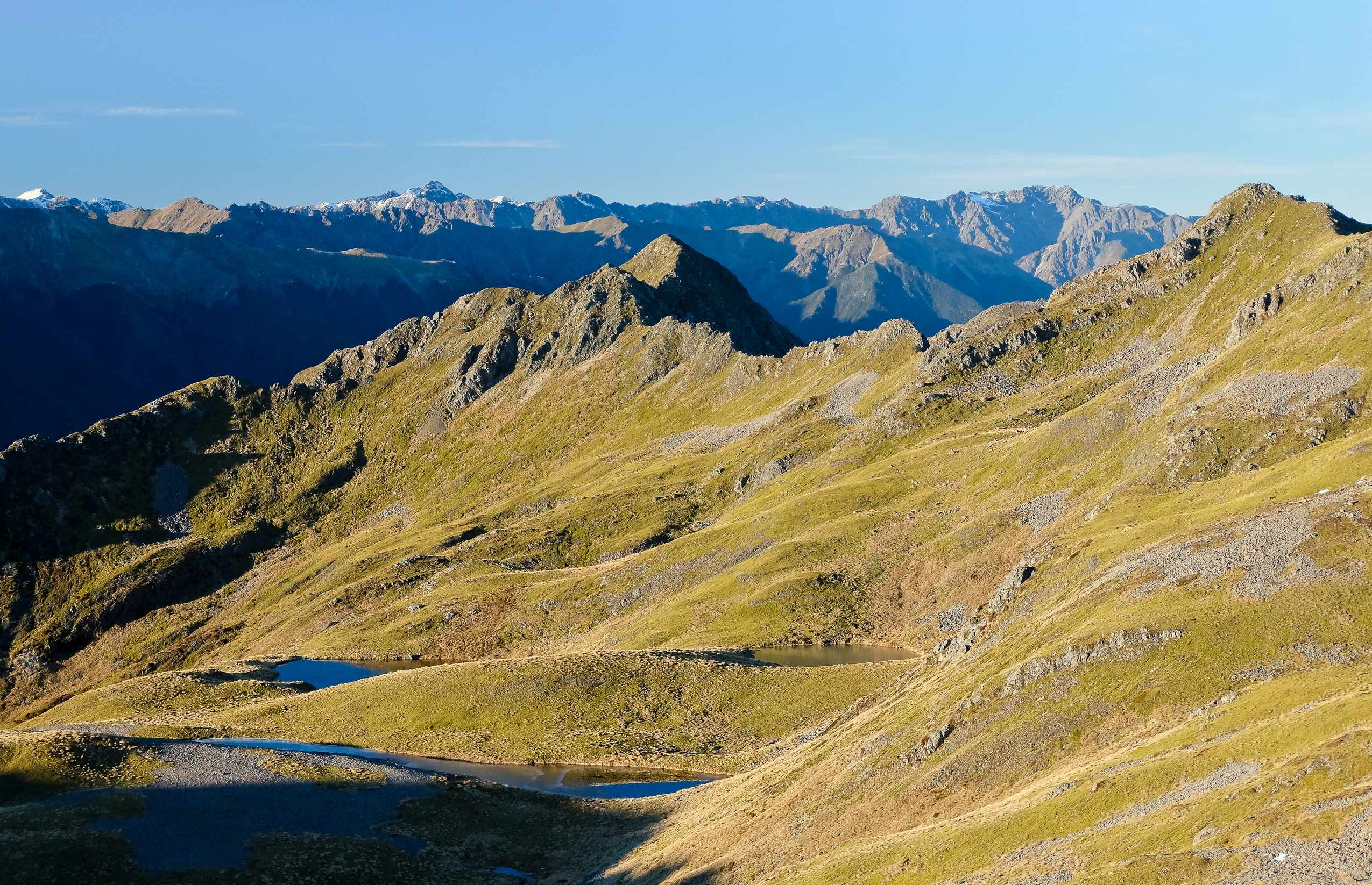 Hike the St Arnaud Track in Nelson Lakes NP