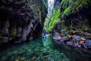 See Nature in a Whole New Light with Gorge Swimming
