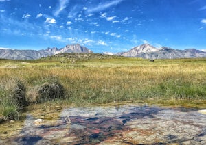 Shepherd Hot Springs