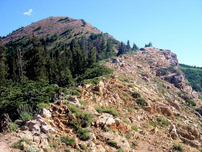 Mount Baldy Hike