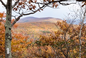 Bear Mountain Loop