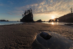7 Reasons Why Olympic National Park Should Be Your Next Destination