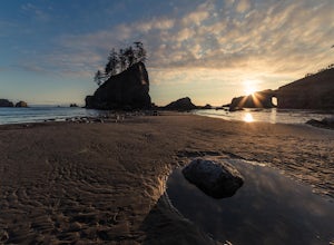 7 Reasons Why Olympic National Park Should Be Your Next Destination