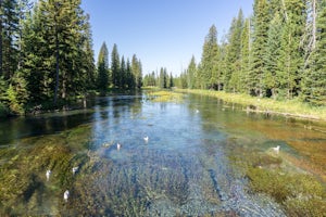 Explore Big Springs and Johnny Sack's Cabin