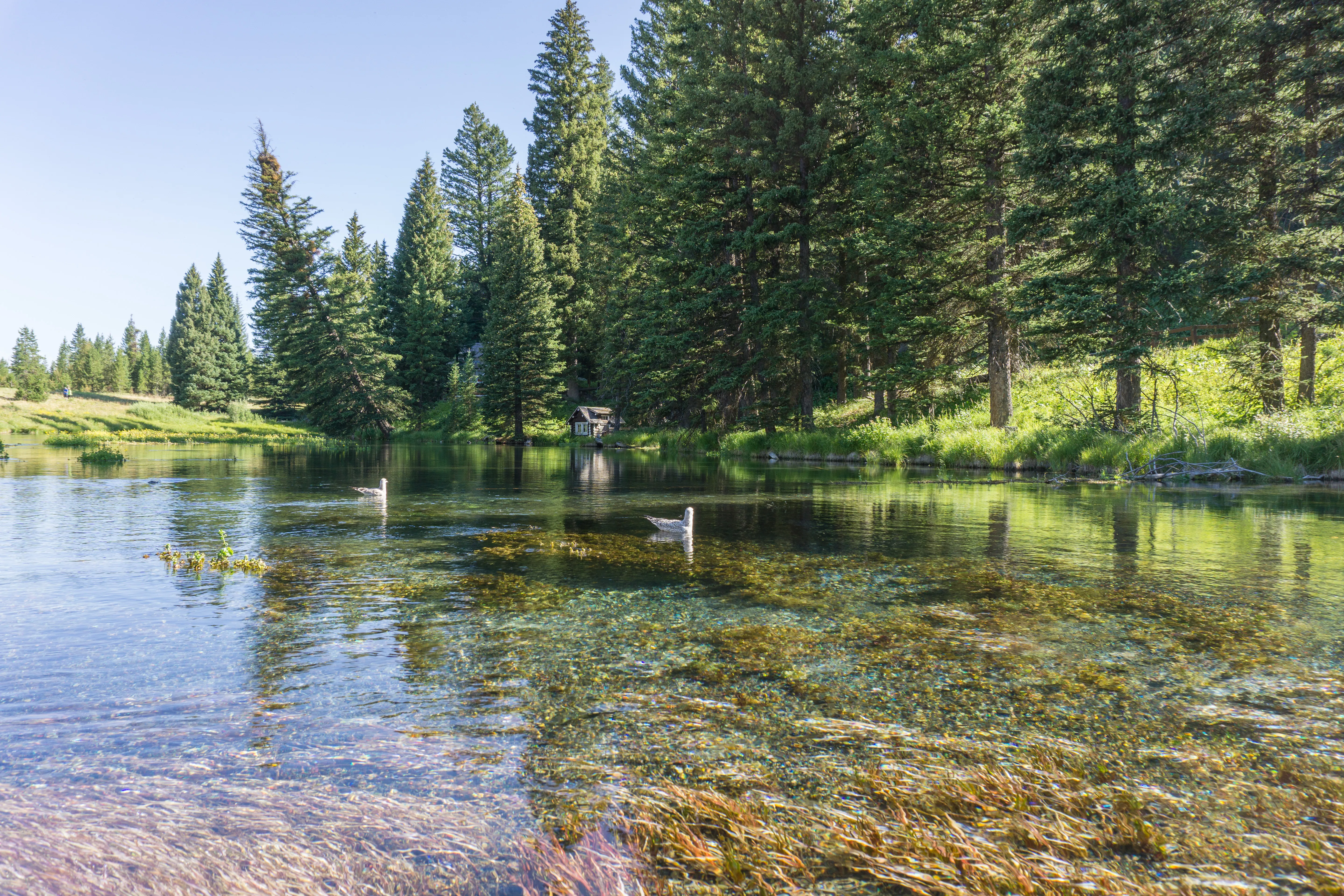 Big Springs and Johnny Sack's Cabin